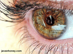 درمان بیماری چشم با عسل