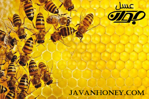 انواع عسل