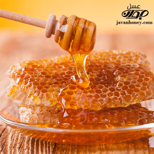 تولید عسل شان